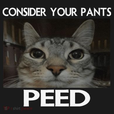 Consider Your Pants Peed Cat Funny Silly Cat Meme 16 in Basic Backpack