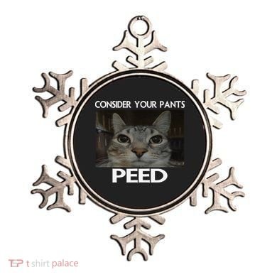 Consider Your Pants Peed Cat Funny Silly Cat Meme Ornament