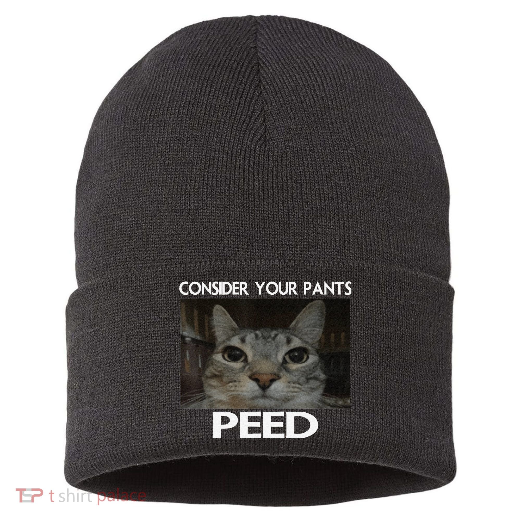 Consider Your Pants Peed Cat Funny Silly Cat Meme Sustainable Knit Beanie