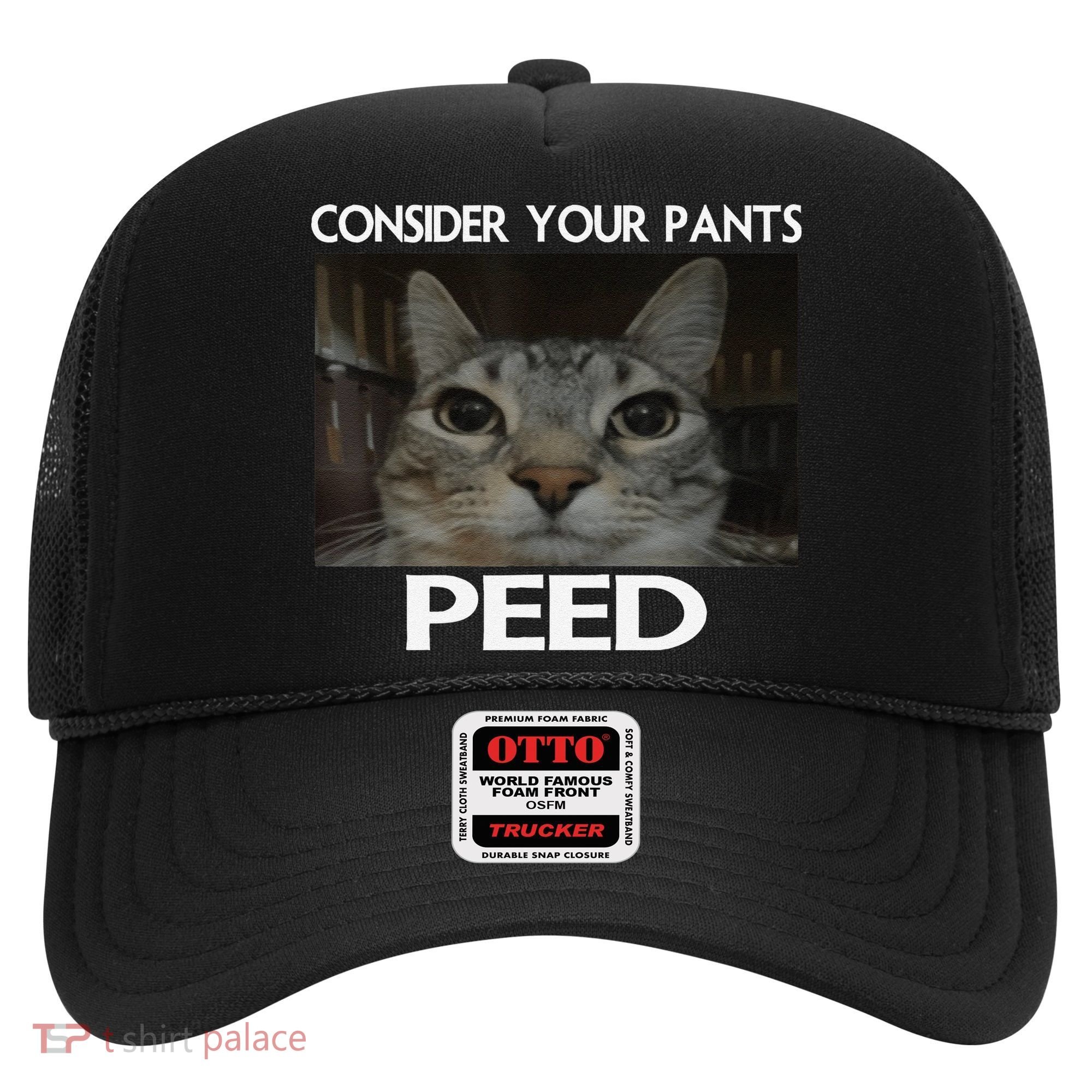Consider Your Pants Peed Cat Funny Silly Cat Meme Hat