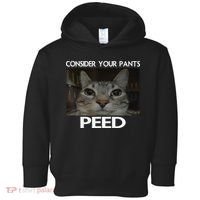 Consider Your Pants Peed Cat Funny Silly Cat Meme Toddler Hoodie thumb 0