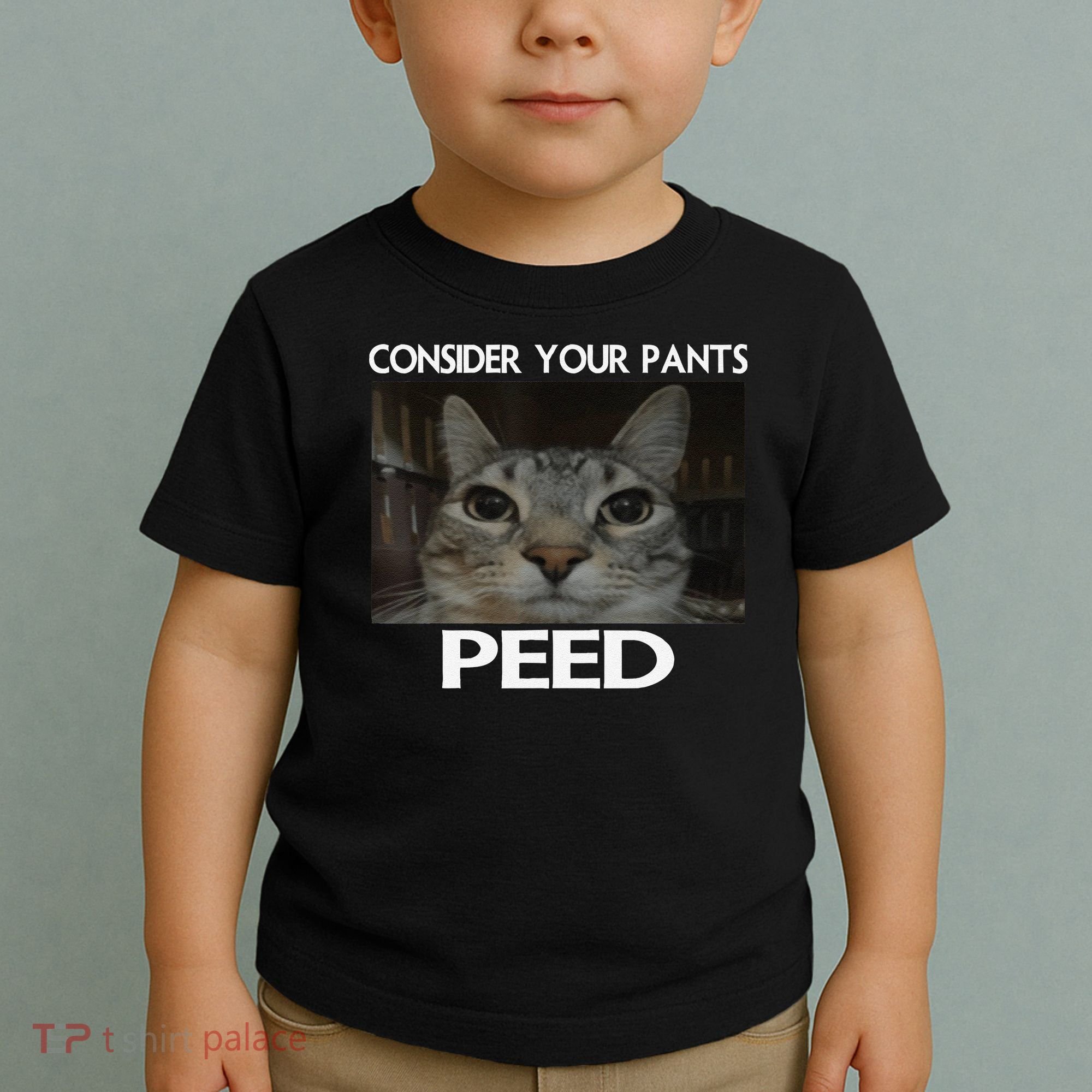 Consider Your Pants Peed Cat Funny Silly Cat Meme Toddler T-Shirt