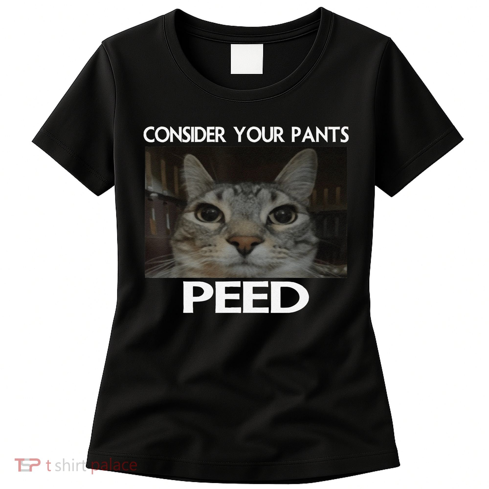 Consider Your Pants Peed Cat Funny Silly Cat Meme Women's T-Shirt