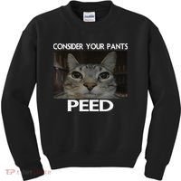 Consider Your Pants Peed Cat Funny Silly Cat Meme Kids Sweatshirt thumb 0