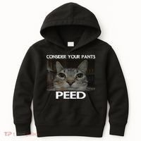 Consider Your Pants Peed Cat Funny Silly Cat Meme Kids Hoodie thumb 0