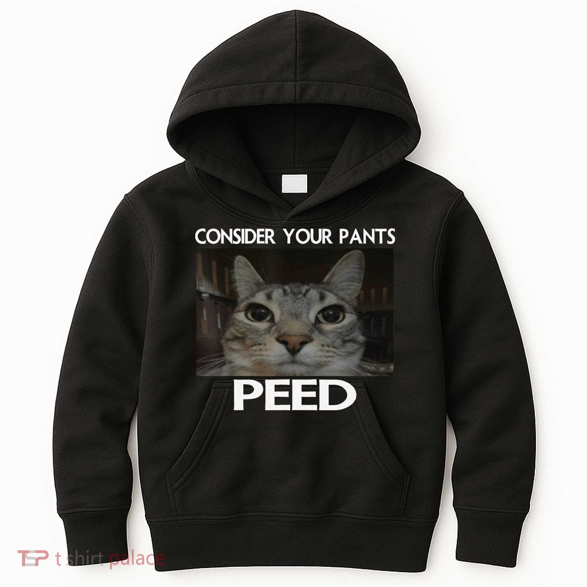 Consider Your Pants Peed Cat Funny Silly Cat Meme Kids Hoodie