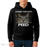 Consider Your Pants Peed Cat Funny Silly Cat Meme Kids Hoodie thumb 4