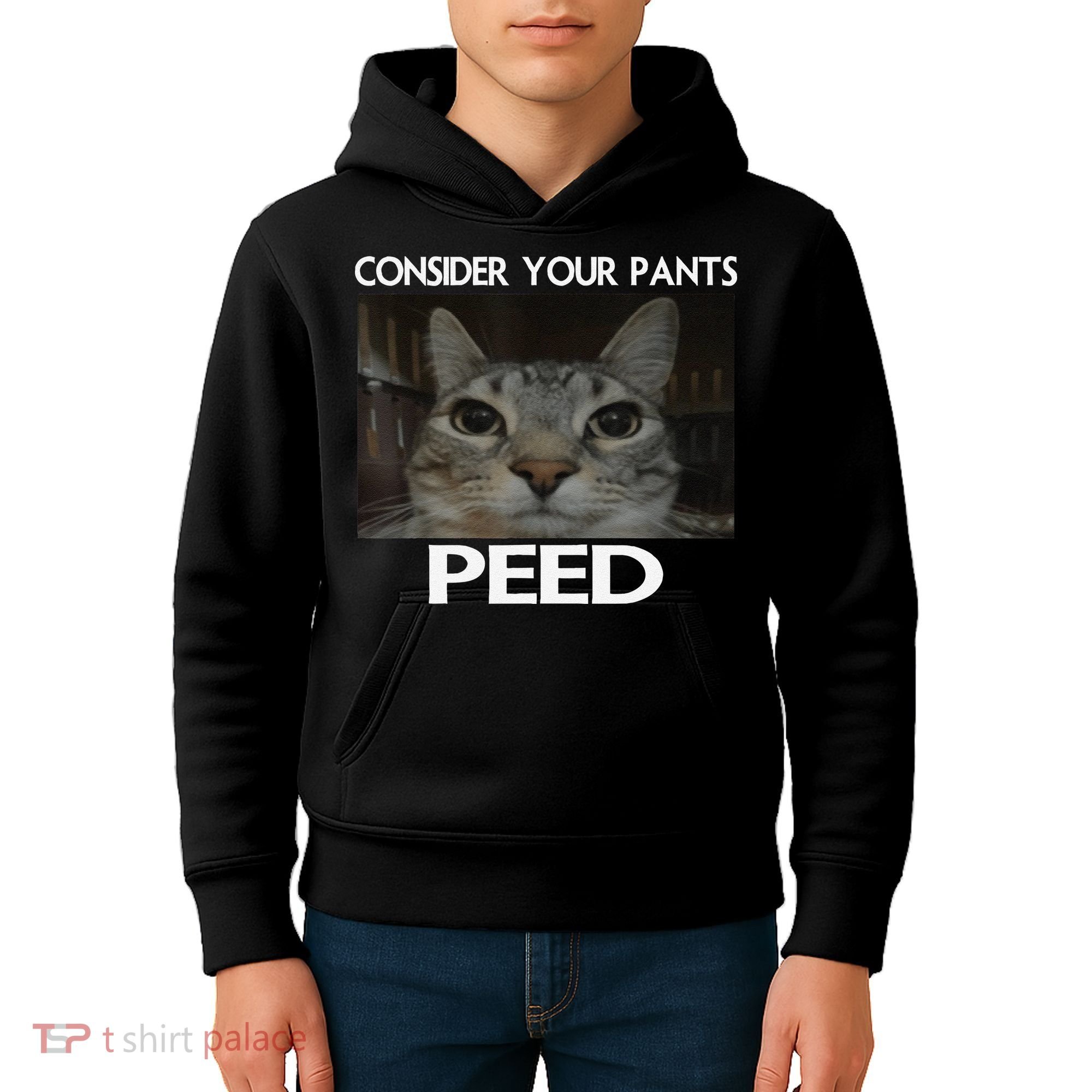 Consider Your Pants Peed Cat Funny Silly Cat Meme Kids Hoodie