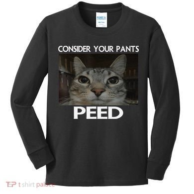 Consider Your Pants Peed Cat Funny Silly Cat Meme Kids Long Sleeve Shirt