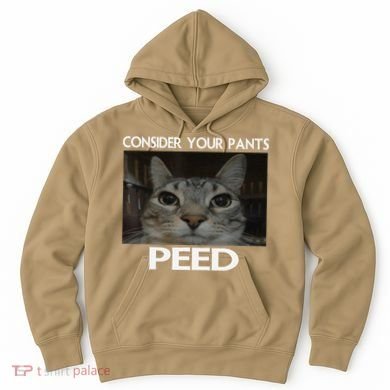 Consider Your Pants Peed Cat Funny Silly Cat Meme Hoodie