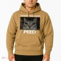 Consider Your Pants Peed Cat Funny Silly Cat Meme Hoodie thumb 2