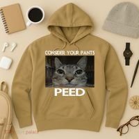 Consider Your Pants Peed Cat Funny Silly Cat Meme Hoodie thumb 3