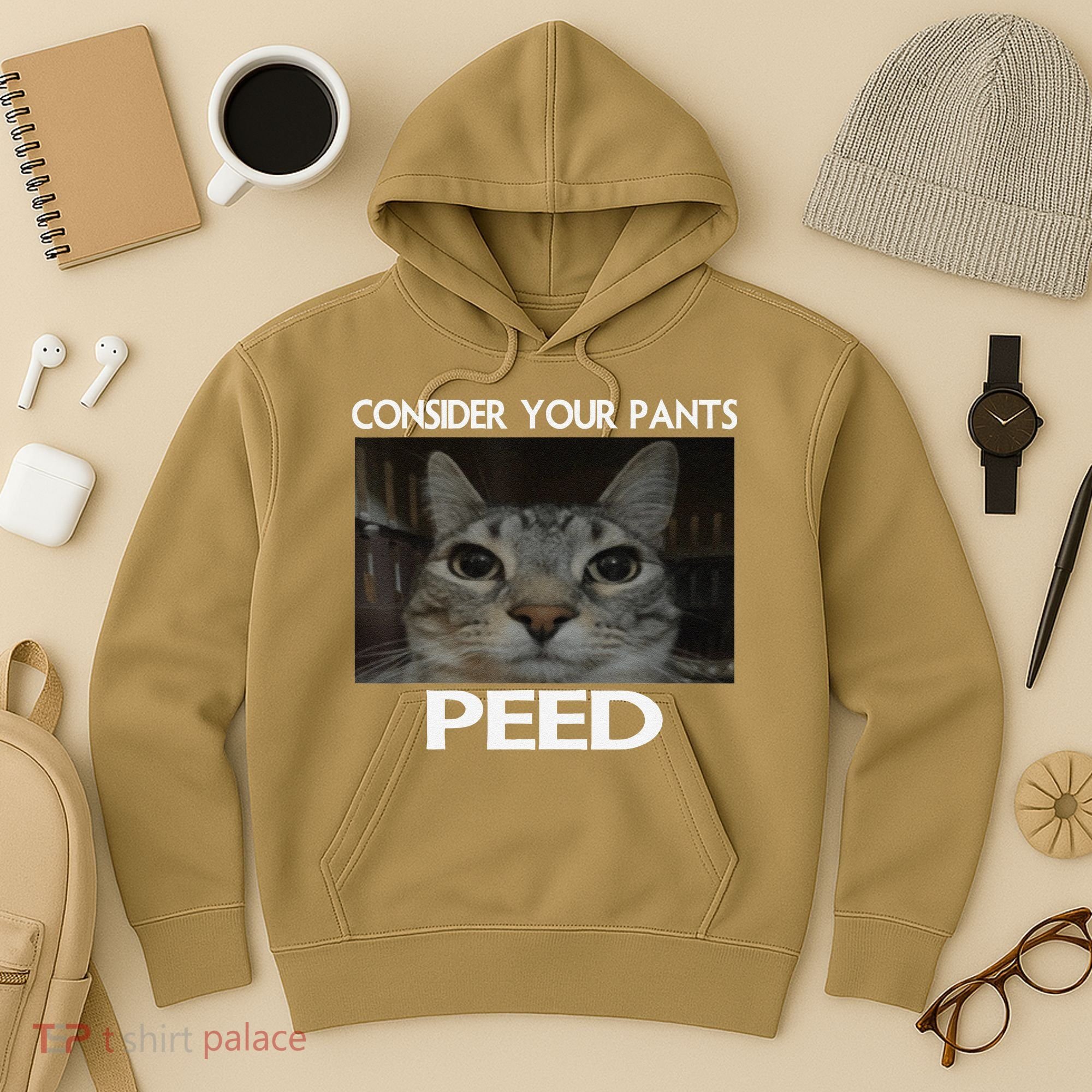 Consider Your Pants Peed Cat Funny Silly Cat Meme Hoodie