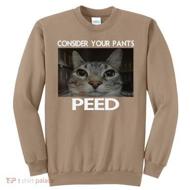 Consider Your Pants Peed Cat Funny Silly Cat Meme Sweatshirt