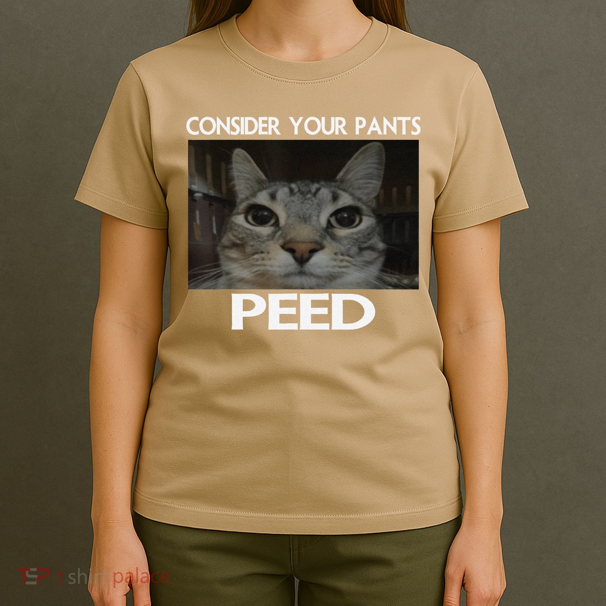 Consider Your Pants Peed Cat Funny Silly Cat Meme T-Shirt