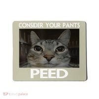 Consider Your Pants Peed Cat Funny Silly Cat Meme Mousepad thumb 0