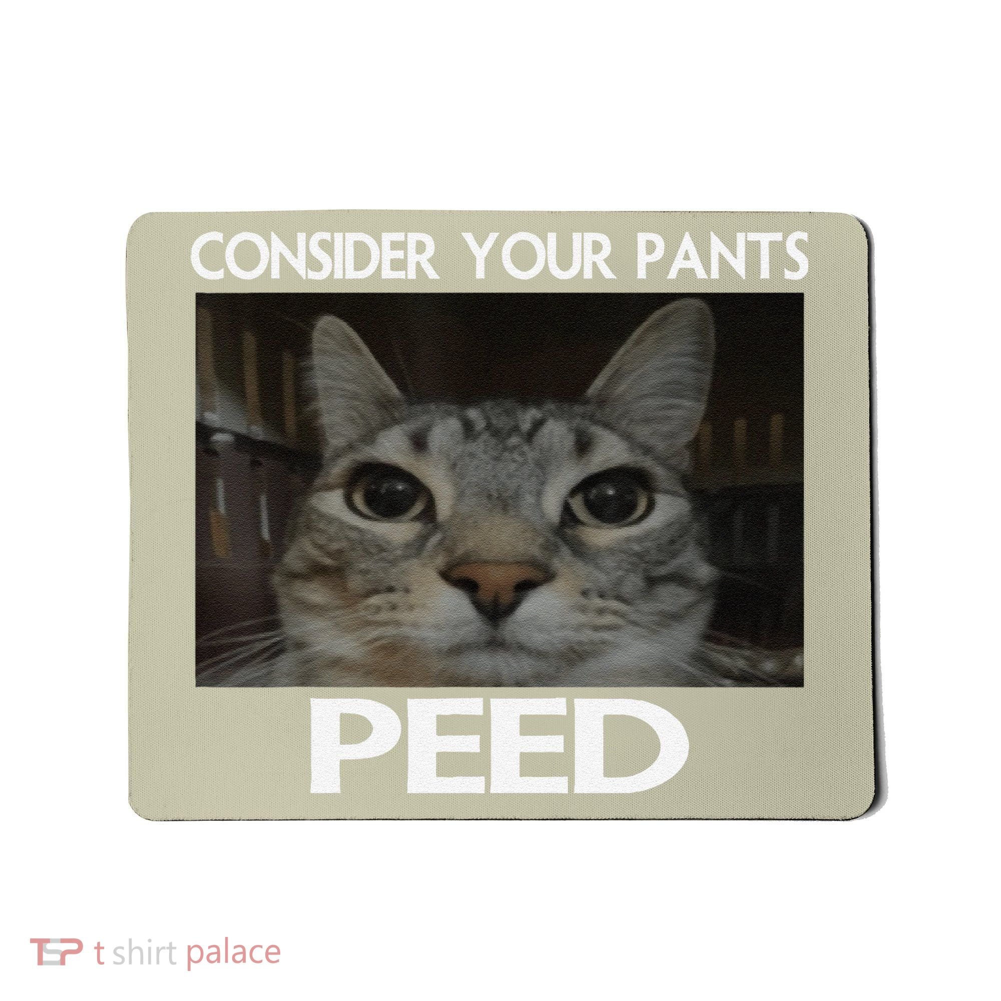 Consider Your Pants Peed Cat Funny Silly Cat Meme Mousepad
