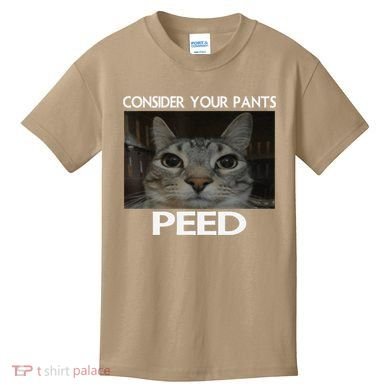 Consider Your Pants Peed Cat Funny Silly Cat Meme Kids T-Shirt