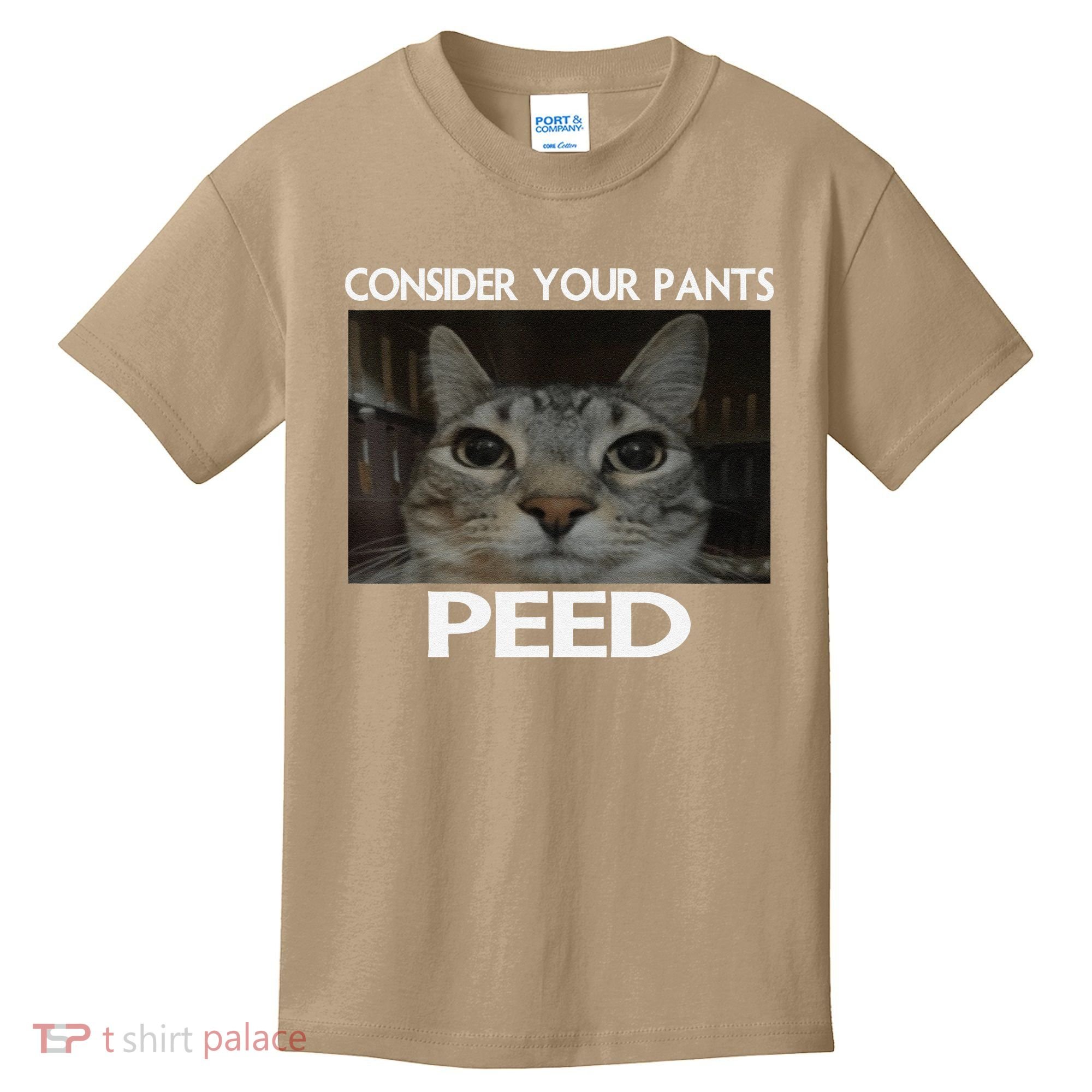 Consider Your Pants Peed Cat Funny Silly Cat Meme Kids T-Shirt