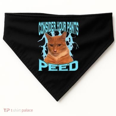 Consider Your Pants Peed Silly Cat Meme USA-Made Doggie Bandana