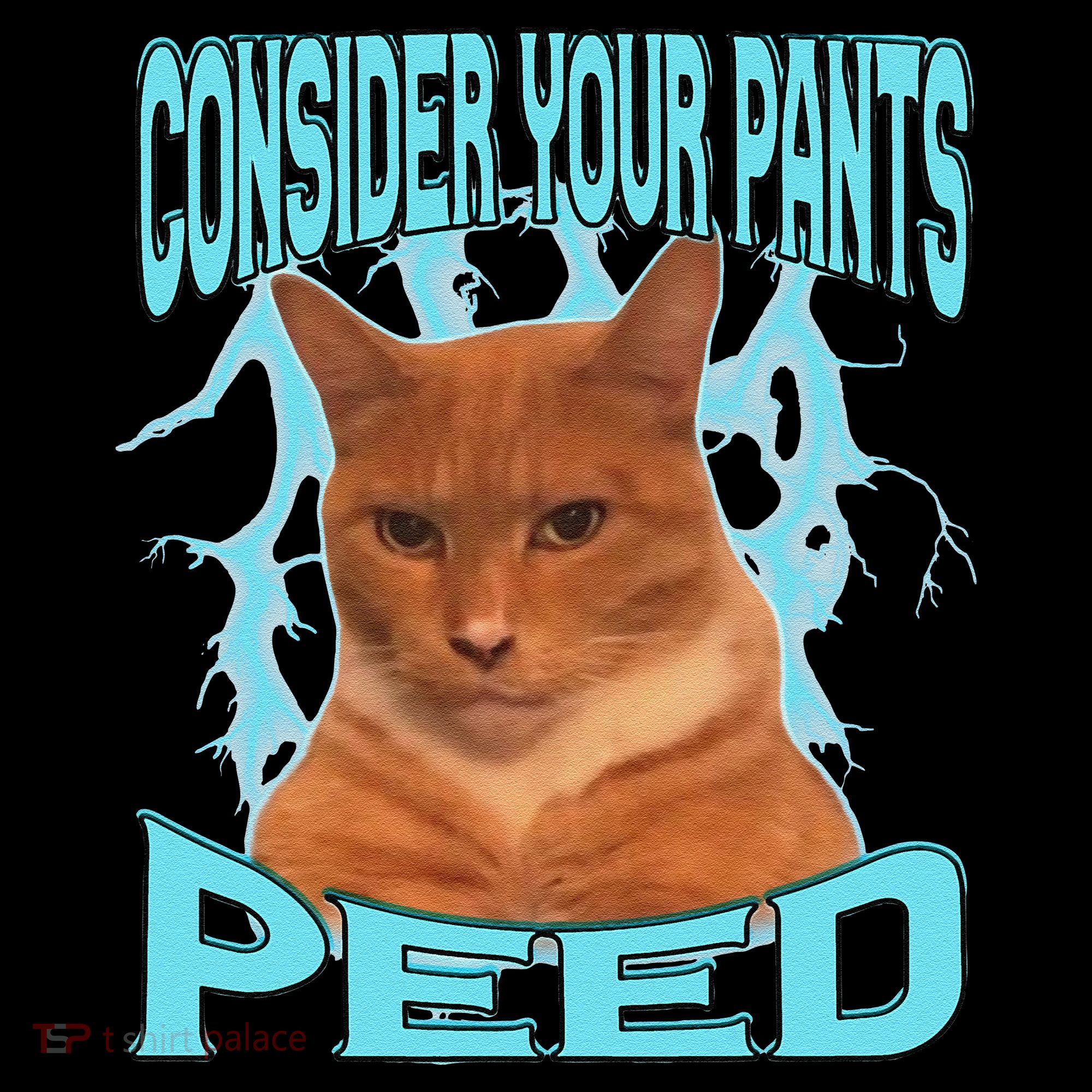 Consider Your Pants Peed Silly Cat Meme Apron