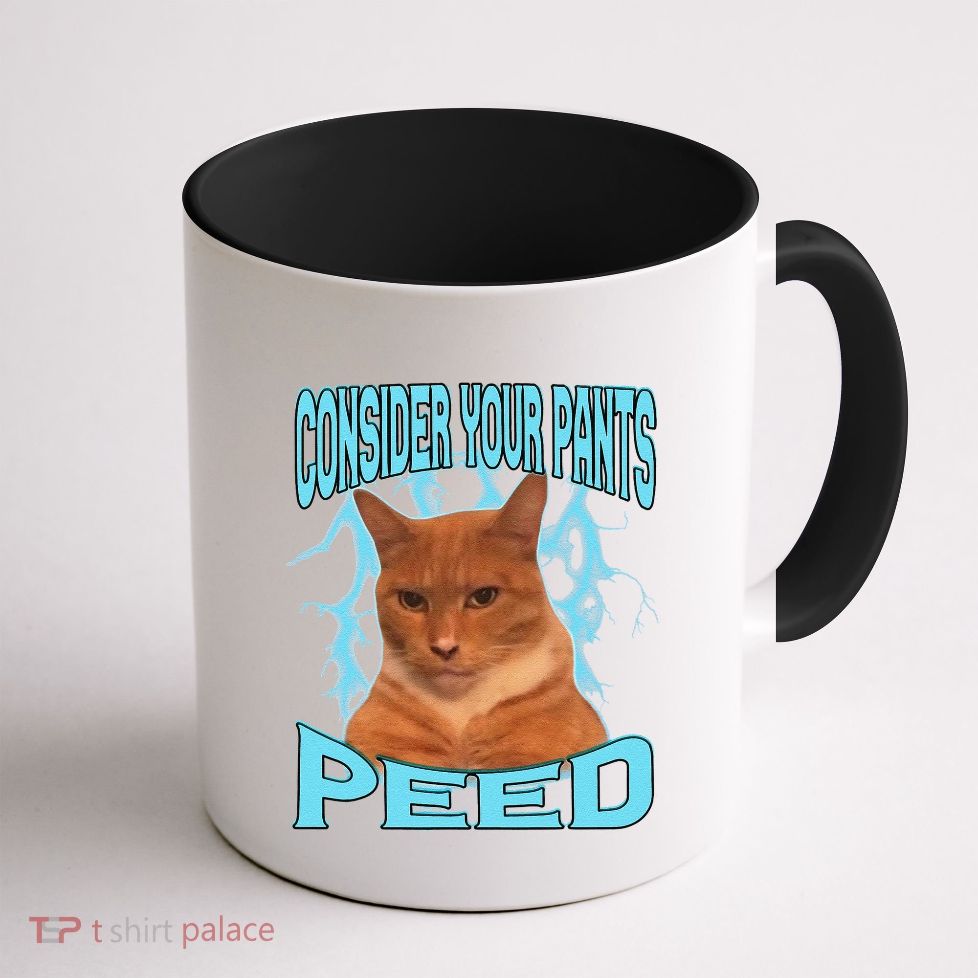 Consider Your Pants Peed Silly Cat Meme Coffee Mug