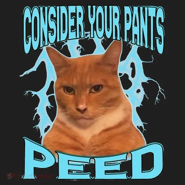 Consider Your Pants Peed Silly Cat Meme Beanie