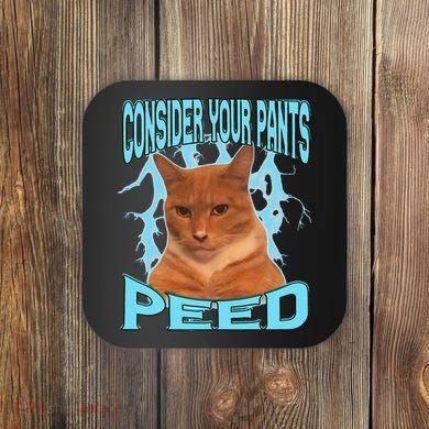 Consider Your Pants Peed Silly Cat Meme Coaster