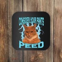 Consider Your Pants Peed Silly Cat Meme Coaster thumb 0