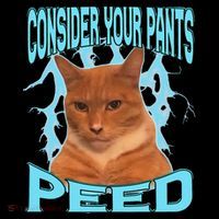 Consider Your Pants Peed Silly Cat Meme Baby Bodysuit thumb 2