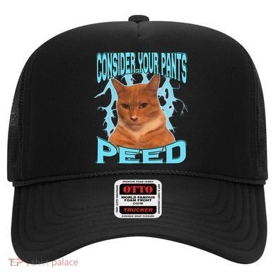Consider Your Pants Peed Silly Cat Meme Hat