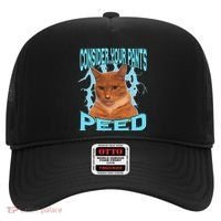 Consider Your Pants Peed Silly Cat Meme Hat thumb 0