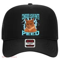 Consider Your Pants Peed Silly Cat Meme Hat thumb 0