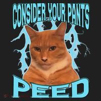 Consider Your Pants Peed Silly Cat Meme Hat thumb 2
