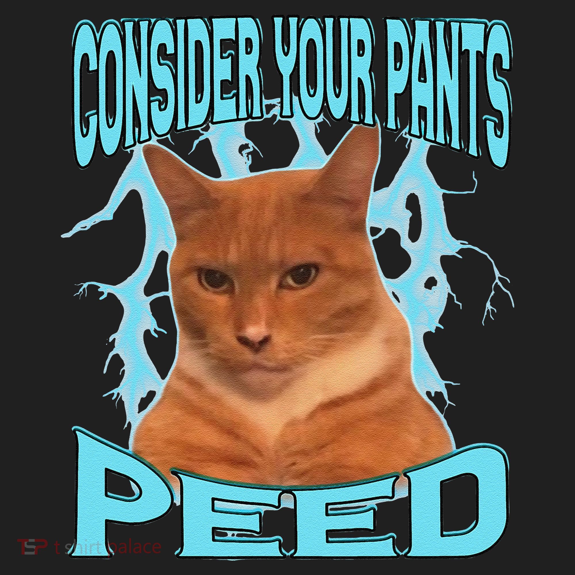 Consider Your Pants Peed Silly Cat Meme Hat