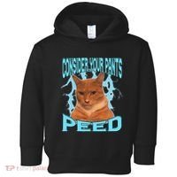 Consider Your Pants Peed Silly Cat Meme Toddler Hoodie thumb 0