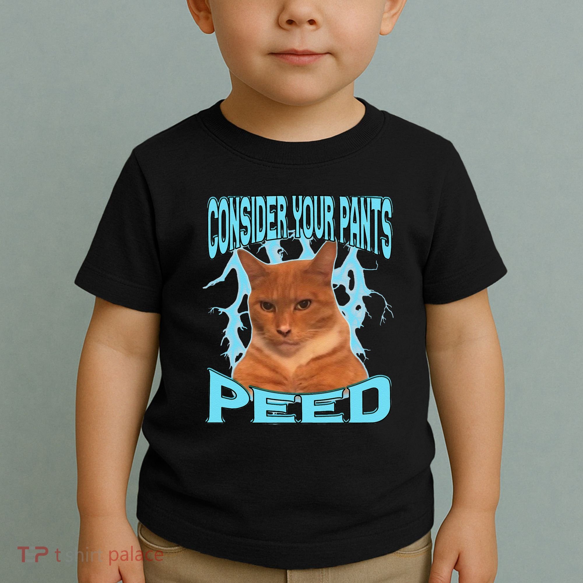 Consider Your Pants Peed Silly Cat Meme Toddler T-Shirt