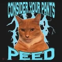 Consider Your Pants Peed Silly Cat Meme Visor thumb 3