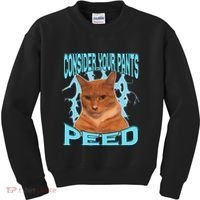 Consider Your Pants Peed Silly Cat Meme Kids Sweatshirt thumb 0
