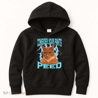 Consider Your Pants Peed Silly Cat Meme Kids Hoodie