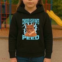 Consider Your Pants Peed Silly Cat Meme Kids Hoodie thumb 3