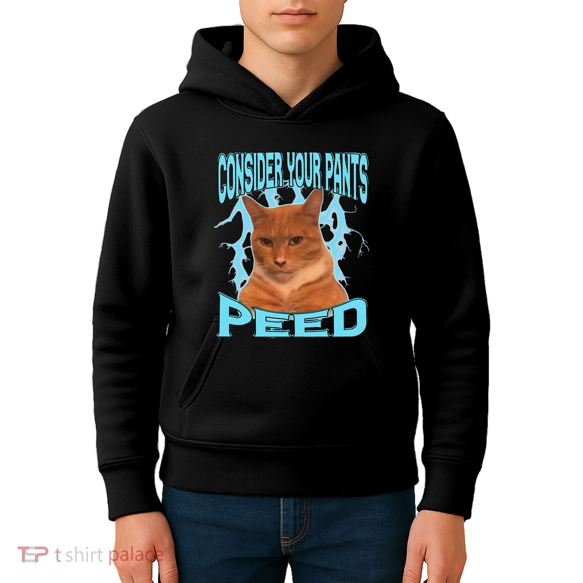 Consider Your Pants Peed Silly Cat Meme Kids Hoodie