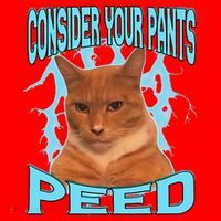 Consider Your Pants Peed Silly Cat Meme Santa Hat thumb 1