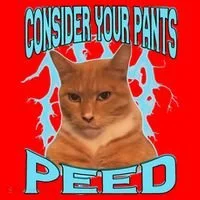 Consider Your Pants Peed Silly Cat Meme Santa Hat thumb 1