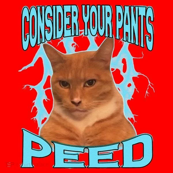Consider Your Pants Peed Silly Cat Meme Santa Hat