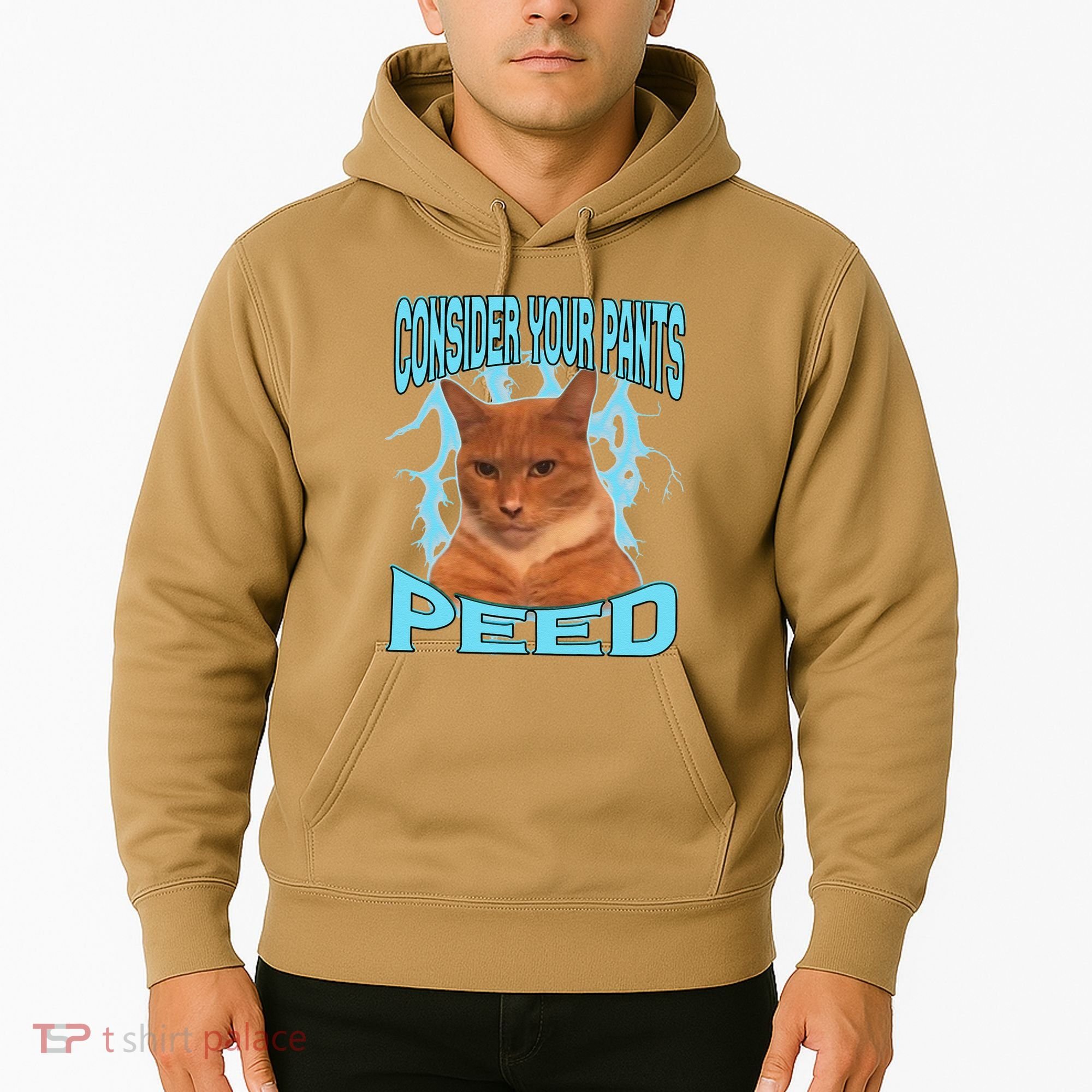 Consider Your Pants Peed Silly Cat Meme Hoodie