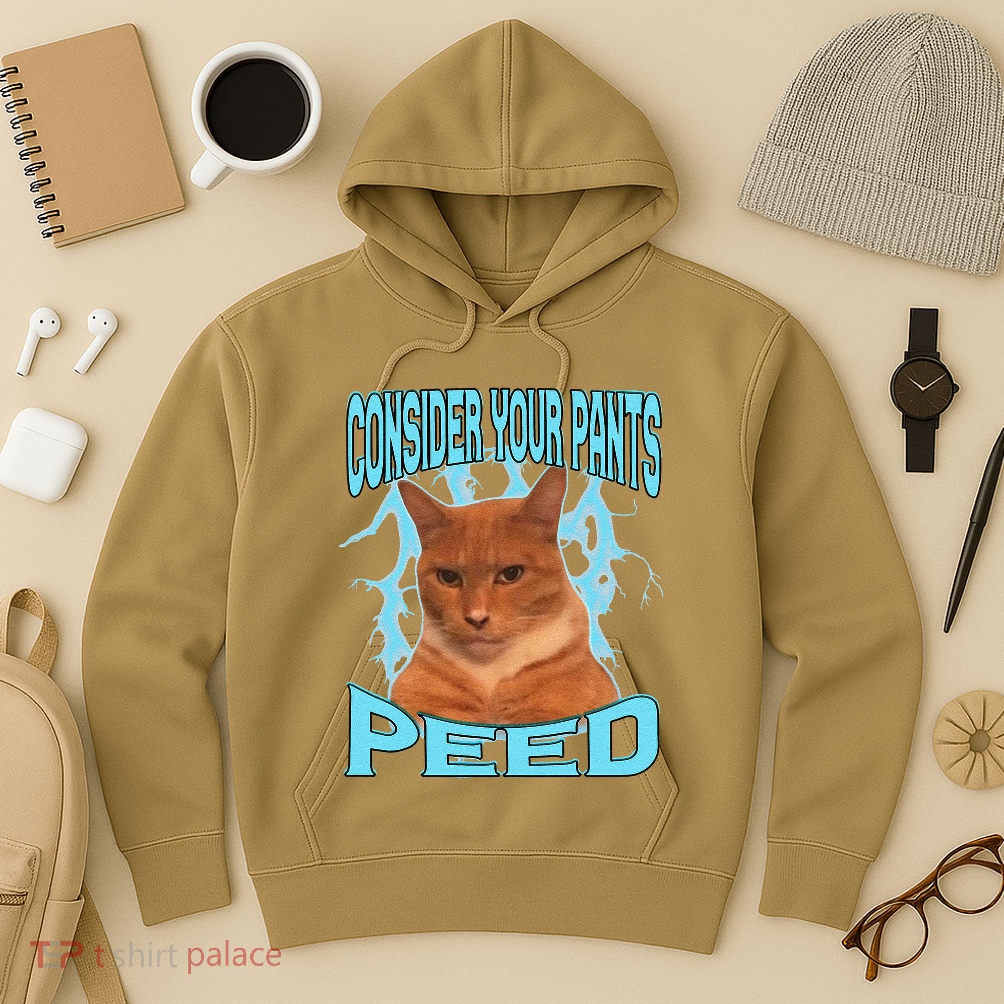 Consider Your Pants Peed Silly Cat Meme Hoodie