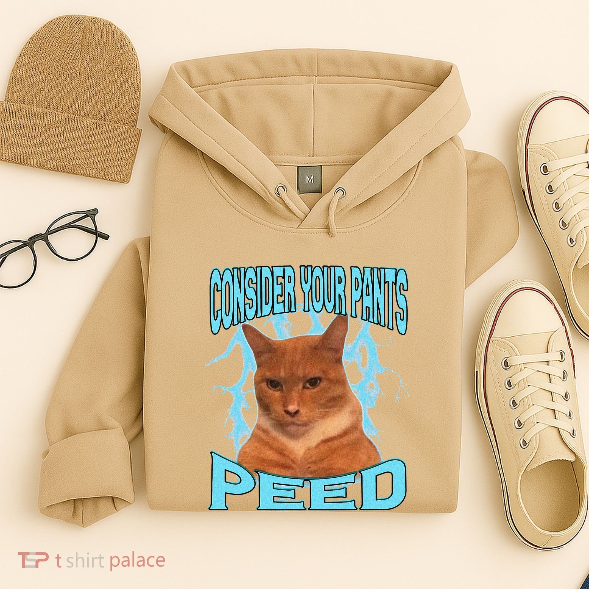 Consider Your Pants Peed Silly Cat Meme Hoodie