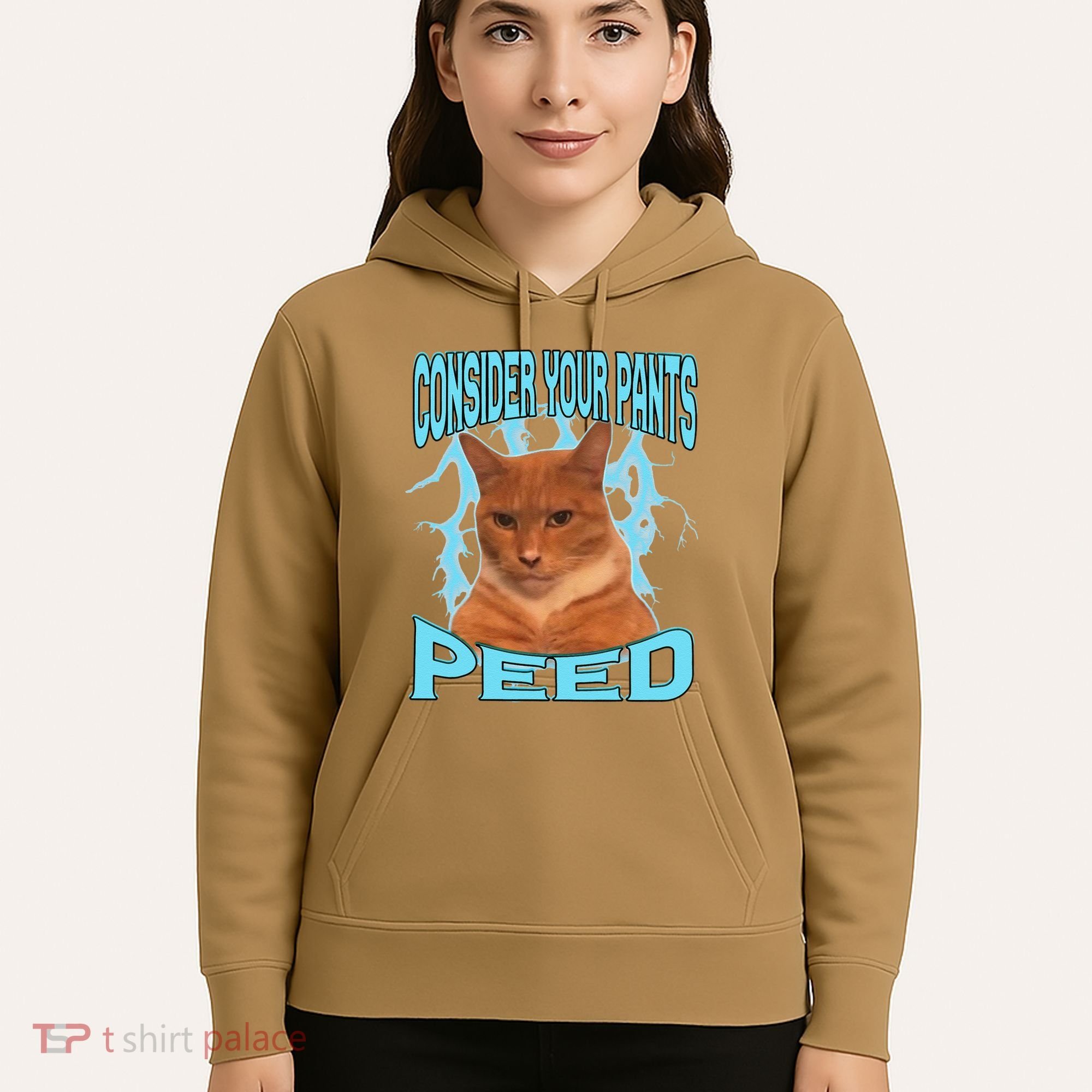 Consider Your Pants Peed Silly Cat Meme Hoodie