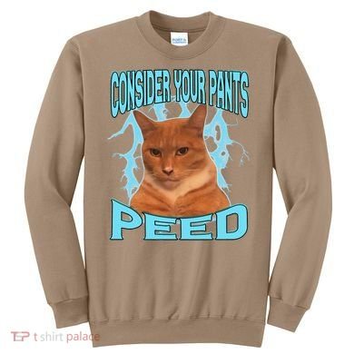 Consider Your Pants Peed Silly Cat Meme Sweatshirt